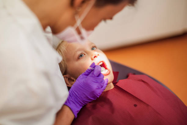 Best Emergency Cosmetic Dentistry in Palm Shores, FL